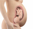 39. Schwangerschaftswoche (SSW)