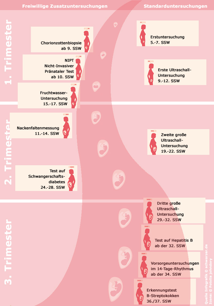 Infografik Pränataldiagnostik: Standarduntersuchungen und freiwillige Zusatzuntersuchungen