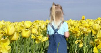 Zählkinder beim Kindergeld