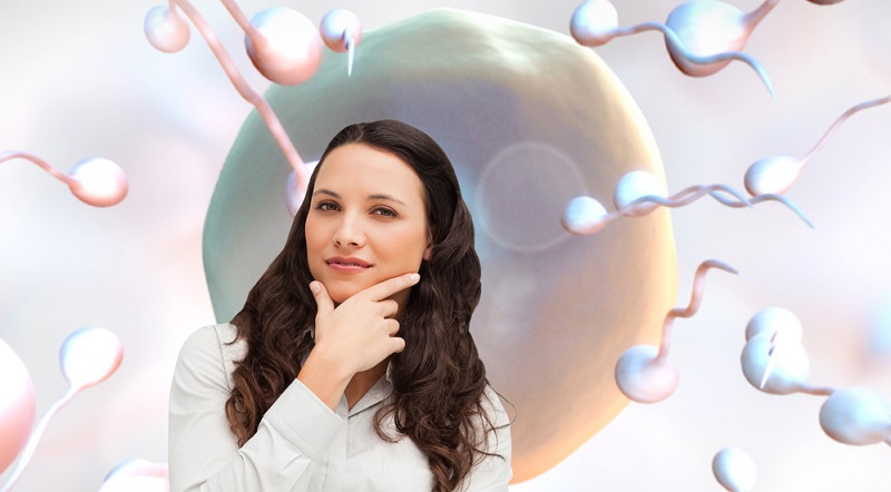 Wenn nach dem Eisprung eine Befruchtung stattgefunden hat, wandert die befruchtete Eizelle (Blastozyste) durch den Eileiter Richtung Gebärmutter und teilt sich dabei immer wieder.