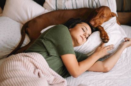 Einfluss von Haustieren auf die Schlafqualität (Foto: AdobeStock 321453527 JustLife)